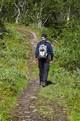Hiking man in Bjorkliden, Sweden