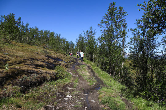 Hiking people in north Sweden