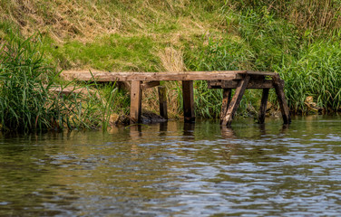 drewniany pomost nad rzeką © Henryk Niestrój