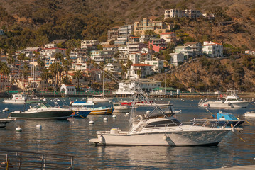 Fototapeta na wymiar Avalon Harbor, Catalina Island, California