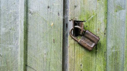 Old wooden gate closed on rusty padlock