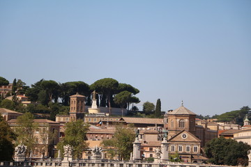Fototapeta na wymiar Vatican city and Statue of Ponte Vittorio Emanuele II in Rome, Italy 