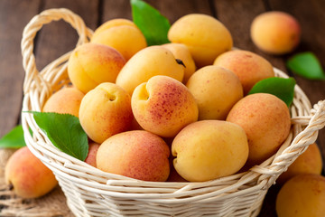 Fresh apricots in wicker basket on dark wooden background
