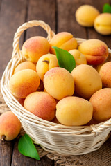 Fresh apricots in wicker basket on dark wooden background