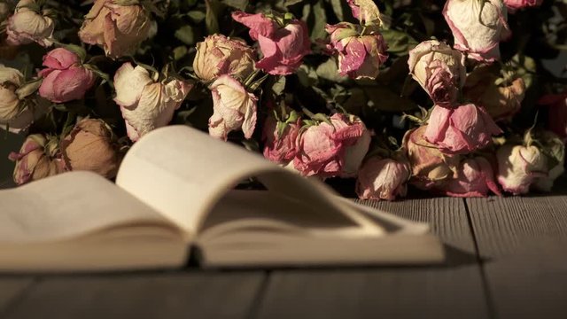 Bouquet of withered rose flowers and open book on wooden table. Dried pink cream yellow roses in dark room. Dolly shot.