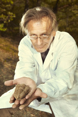 Scientist in terrain found trilobite fossil on ground
