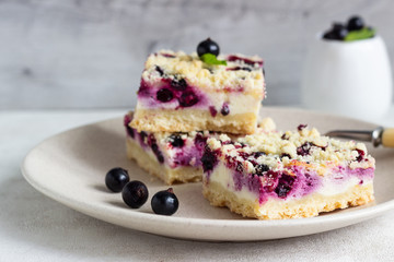 Black currant cake. Cheesecake bars with lemon, black currant and streusel on a plate.