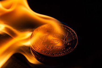 bitcoin burning in fire on black background