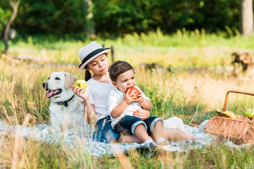 Fototapeta premium happy siblings sitting on blanket at picnic and eating apples