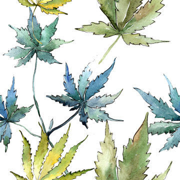 Green cannabis leaves in a watercolor style. Seamless background pattern. Fabric wallpaper print texture. Aquarelle leaf for background, texture, wrapper pattern, frame or border.