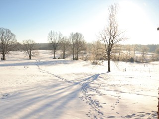 Winter scene