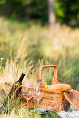 wine bottle, glasses and basket with loaves on grass at picnic