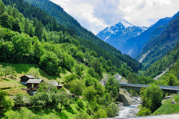 Fototapeta na wymiar Scenic train trips in the Swiss