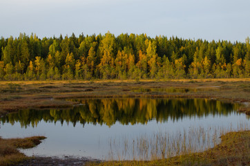 Sunset light - Autumn colours