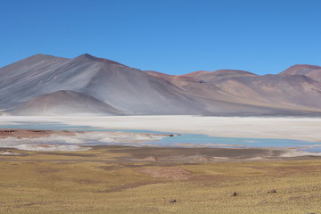Sakar de Atacama - Chile