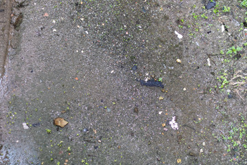 Old city Texture Alley Path 