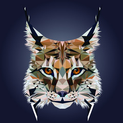 Low poly triangular lynx (bobcat) face on dark background, symmetrical vector illustration EPS 10 isolated.  Polygonal style trendy modern logo design. Suitable for printing on a t-shirt.