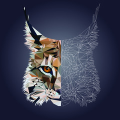 Low poly triangular lynx (bobcat) face on dark background, symmetrical vector illustration EPS 10 isolated.  Polygonal style trendy modern logo design. Suitable for printing on a t-shirt. © Oomi