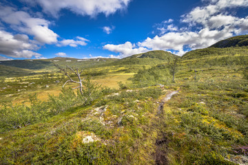 Walking trail in Hardangervidda National Park