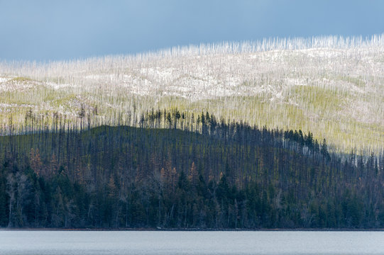 Wintry day at Lake McDonald