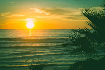 Splendid orange sunset by wavy sea with palm tree silhouette. Old fashioned twilight on the beach. Vintage effect