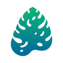 Tropical green leaf monstera