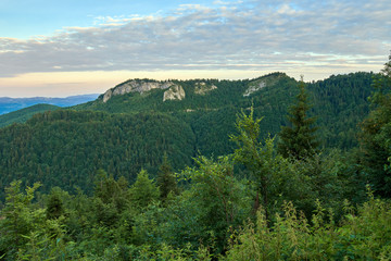 Mountains covered in forests