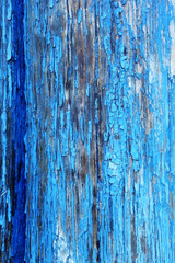 Fototapeta na wymiar texture of the old blue paint on the tree