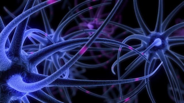 The brain's dendrites are exciting and interesting in this animated look at what happens in our brain!