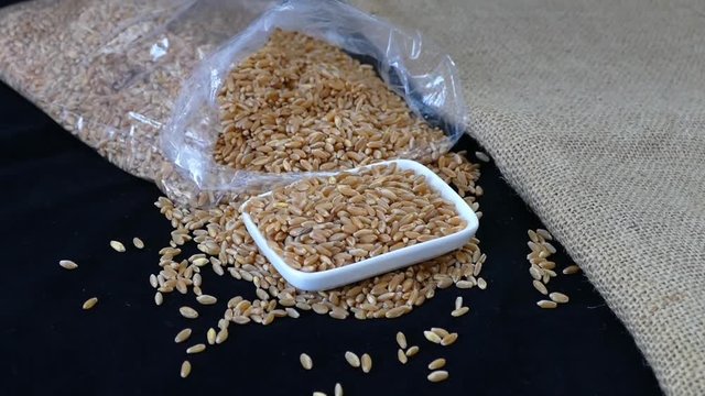 Wheat in nylon bag over black background

