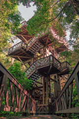 Wooden stairs in the forest