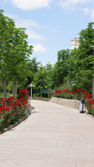 Turn of the road in the beautiful park.