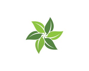  green leaf ecology nature element