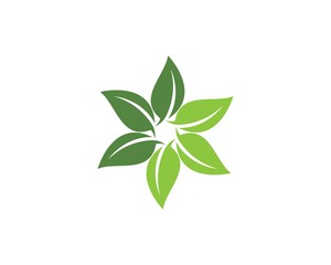  green leaf ecology nature element