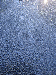 Water droplets on a black surface