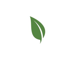  green leaf ecology nature element
