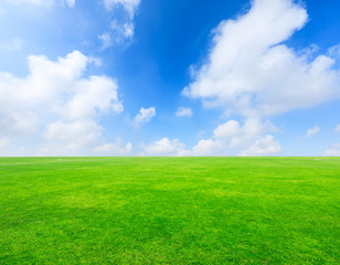 Fototapeta premium Green football field under blue sky background