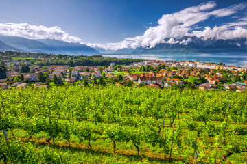 Panorama view of Montreux city with Swiss Alps, lake Geneva and vineyard on Lavaux region, Canton Vaud, Switzerland, Europe