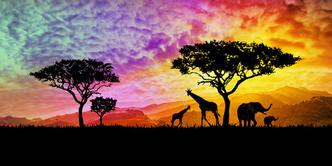 illustration of a bright sunset in africa, safari with wild animals: giraffes and elephants against the background of sunset in the savannah © Ardea-studio