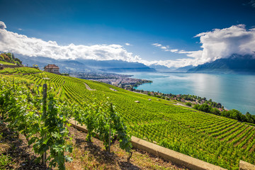 Panorama view of Montreux city with Swiss Alps, lake Geneva and vineyard on Lavaux region, Canton...