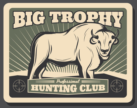 Vector buffalo retro poster for hunting club