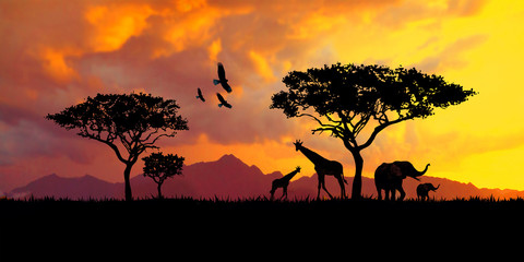 illustration of a bright sunset in africa, safari with wild animals: giraffes and elephants against the background of sunset in the savannah - obrazy, fototapety, plakaty