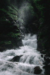 River waterfall in green forest. Nature landscape background