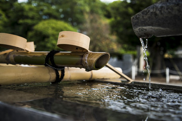 La calma dell'acqua