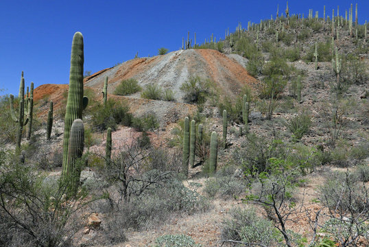 Tailings of an old copper mine in the Tucson mountains, Arizona