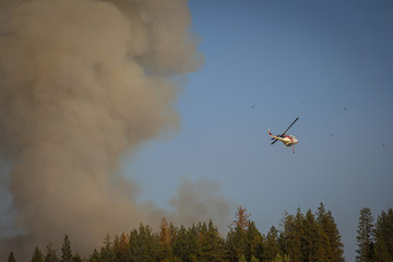 Fire Chopper 