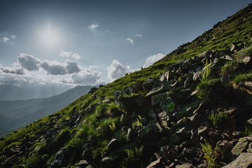 Beautiful nature landscape of mountains with snow and green forest