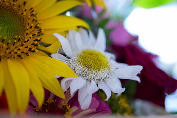 Floral arrangement in a bouquet
