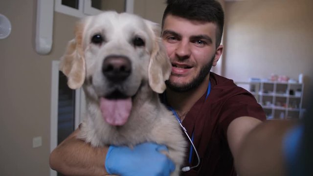 Young handsome vet doctor making selfie with his dog patient at pet care clinic. Veterinarian posing on self portrait photo with beautiful golden retriever during patient checkup visit.