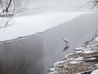 Winter landscape in the park 
